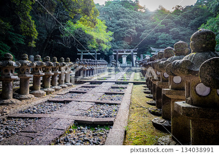 The majestic scenery of the Mori family graveyard at Tokoji Temple in Hagi City, Yamaguchi Prefecture 134038991