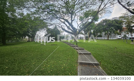 The #NUS sculpture stands beside a tree-lined slope and academic serenity in a scenic outdoor space at the National University of Singapore 134039100