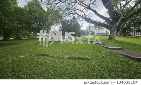 The #NUS sculpture stands beside a tree-lined slope and academic serenity in a scenic outdoor space at the National University of Singapore 134039104