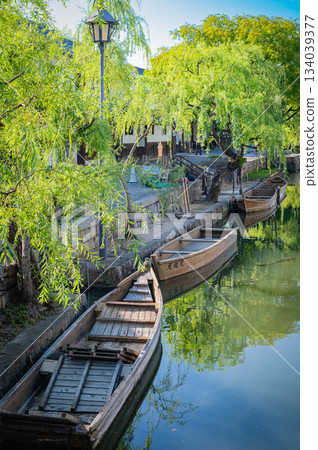 Kurashiki Bikan Historical Townscape and White Walls 134039377