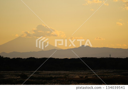 Autumnal Mt. Fuji seen from Watarase: Sunset-colored evening scenery Autumnal Mt. Fuji seen from Watarase: Sunset-colored evening scenery 134039541