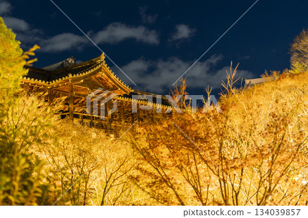 秋末時分的東福寺，燈光璀璨的通天橋，京都府京都市 134039857