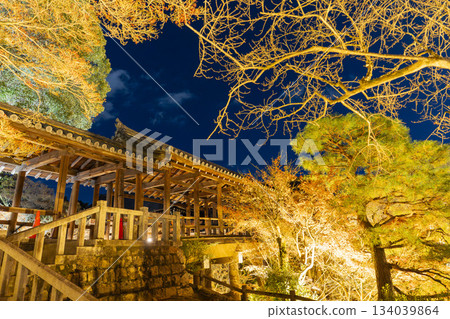 秋末時分的東福寺,燈光璀璨的通天橋,京都府京都市 秋末時分的東福寺,燈光璀璨的通天橋,京都府京都市 134039864