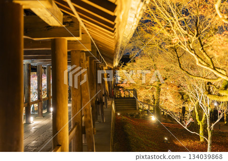 Tofukuji Temple in late autumn, illuminated Tsutenkyo Bridge, Kyoto City, Kyoto Prefecture 134039868