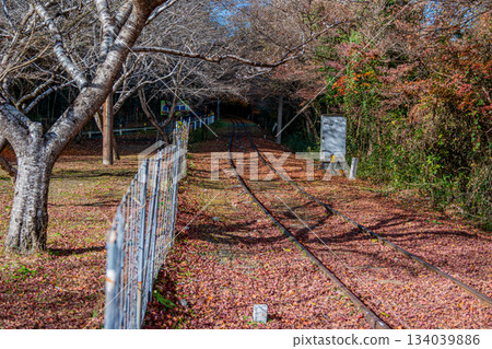 三河廣瀨站 落葉鋪成的地毯 134039886