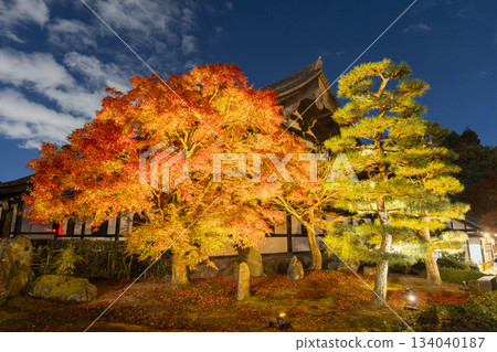 Late autumn at Tofukuji Temple, illuminated Zen Hall, Kyoto City, Kyoto Prefecture Late autumn at Tofukuji Temple, illuminated Zen Hall, Kyoto City, Kyoto Prefecture 134040187