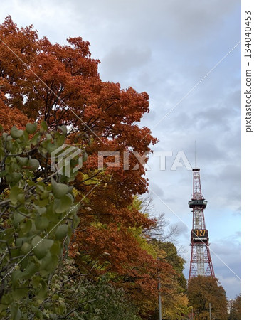 Sapporo TV Tower surrounded by autumn leaves Sapporo TV Tower surrounded by autumn leaves 134040453