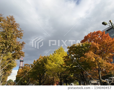Sapporo TV Tower surrounded by autumn leaves Sapporo TV Tower surrounded by autumn leaves 134040457