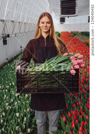 Young caucasian florist in greenhouse posing with crate of tulips for catalog photography, smiling presentation, long aisles of red and pink blooms, professional small business branding shot Young caucasian florist in greenhouse posing with crate of tulips for catalog photography, smiling presentation, long aisles of red and pink blooms, professional small business branding shot 134040492