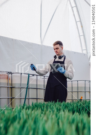 Gardening technician inspecting, Greenhouse worker calibrates watering system, Professional in protective gear examines sprinkler setup and water flow among tulip seedlings Gardening technician inspecting, Greenhouse worker calibrates watering system, Professional in protective gear examines sprinkler setup and water flow among tulip seedlings 134040501