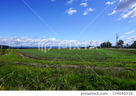 A scene somewhere in Kitamura, Iwamizawa City 134040516
