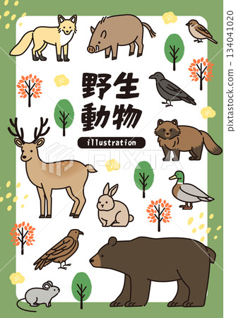 野生動物彩色插圖集 134041020