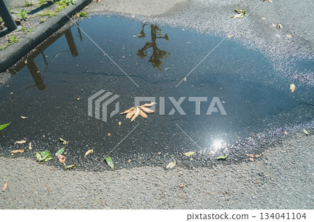 水坑 水池 水潭 134041104