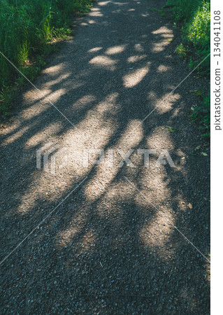 road, evening, eventide 134041108