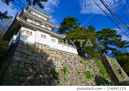 津城遺址、牛虎塔、津市 134041129