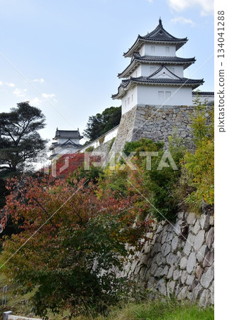 Akashi Castle (Akashi Park), Hyogo Prefecture: Tatsumi Tower, Kun Tower, and autumn leaves 134041288