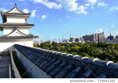 Tatsumi Tower and the view from Akashi Castle (Akashi Park) in Hyogo Prefecture Tatsumi Tower and the view from Akashi Castle (Akashi Park) in Hyogo Prefecture 134041291