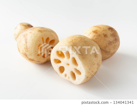 Cross section of lotus root Lotus root with nodes 134041341