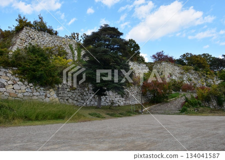 Stone walls and autumn leaves at Akashi Castle (Akashi Park) in Hyogo Prefecture Stone walls and autumn leaves at Akashi Castle (Akashi Park) in Hyogo Prefecture 134041587