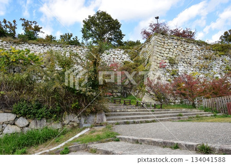 Hyogo Prefecture, Akashi Castle (Akashi Park) east side stairs, stone walls and autumn leaves 134041588