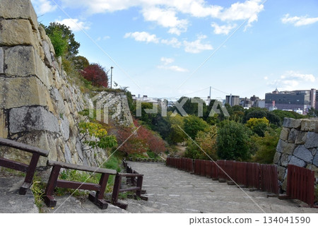 Hyogo Prefecture, Akashi Castle (Akashi Park) east side stairs, stone walls, autumn leaves and streetscape Hyogo Prefecture, Akashi Castle (Akashi Park) east side stairs, stone walls, autumn leaves and streetscape 134041590