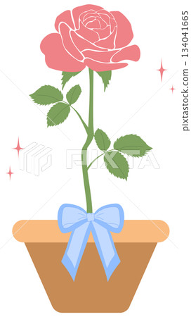 Pink Rose in Clay Pot with Blue Ribbon Bow, Valentine element 134041665