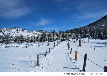 [Mountain scenery] Nagano Prefecture, North Yatsugatake, Tsuboniwa Natural Garden in winter 134041726