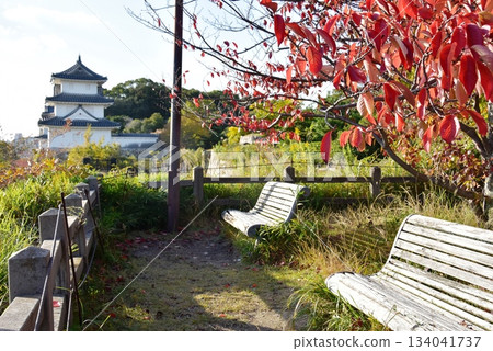 兵庫縣明石城（明石公園）的秋葉、長椅和辰巳櫓 134041737