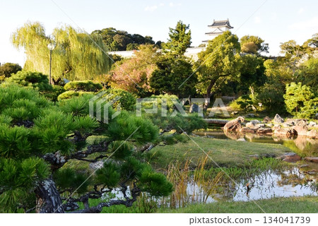 兵庫縣明石城（明石城公園）庭園、辰巳橋及步道 134041739