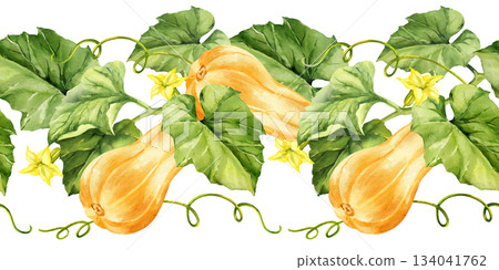 watercolor ripe beige pumpkins with green leaves, stems and yellow flowers, seamless border, autumn harvest illustration, hand drawn sketch, for Halloween, thanksgiving day, fall festival decoration 134041762