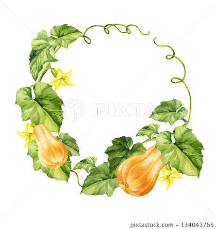 orange ripe pumpkins, green leaves, twisted stems, yellow flowers, watercolor wreath, autumn harvest illustration, hand drawn sketch of vegetable, for Halloween, thanksgiving day fall festival orange ripe pumpkins, green leaves, twisted stems, yellow flowers, watercolor wreath, autumn harvest illustration, hand drawn sketch of vegetable, for Halloween, thanksgiving day fall festival 134041765