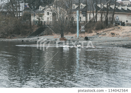Beautiful scenery of Lake Kawaguchi 134042564