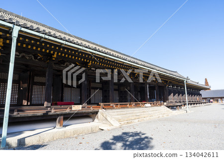 京都府京都市蓮華院（三十三間堂）正殿的深秋景色 134042611