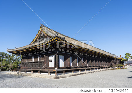 京都府京都市蓮華院（三十三間堂）正殿的深秋景色 134042613