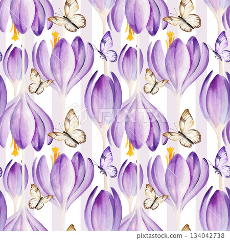 spring lilac flowers, flying butterfly, hand drawn watercolor blue and lilac crocuses, green leaves, seamless pattern, spring Easter illustration of purple bouquet for party, kitchen decoration spring lilac flowers, flying butterfly, hand drawn watercolor blue and lilac crocuses, green leaves, seamless pattern, spring Easter illustration of purple bouquet for party, kitchen decoration 134042738
