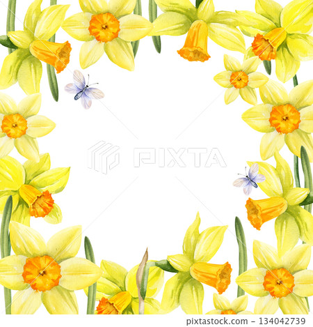 yellow flowers with flying butterflies, square frame with hand drawn watercolor daffodils, narcissus, spring Easter illustration of jonquils bouquet, green leaves, party, kitchen decoration 134042739