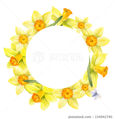 wreath with yellow flowers, flying butterflies, round frame with hand drawn watercolor daffodils, narcissus, spring Easter illustration of jonquils bouquet, green leaves, party, kitchen decoration wreath with yellow flowers, flying butterflies, round frame with hand drawn watercolor daffodils, narcissus, spring Easter illustration of jonquils bouquet, green leaves, party, kitchen decoration 134042740