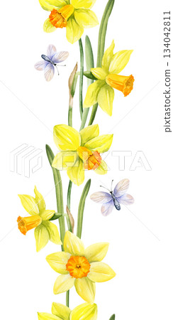 yellow flowers with flying butterflies, vertical seamless border of hand drawn watercolor daffodils, narcissus, spring Easter illustration of jonquils bouquet, green leaves, party, kitchen decoration yellow flowers with flying butterflies, vertical seamless border of hand drawn watercolor daffodils, narcissus, spring Easter illustration of jonquils bouquet, green leaves, party, kitchen decoration 134042811