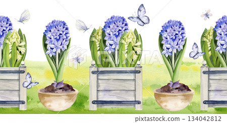 blue and white hyacinths in textured wooden tray and clay pot, flying butterflies, hand drawn watercolor spring seamless border, Easter illustration of primroses bouquet for party, kitchen decoration blue and white hyacinths in textured wooden tray and clay pot, flying butterflies, hand drawn watercolor spring seamless border, Easter illustration of primroses bouquet for party, kitchen decoration 134042812