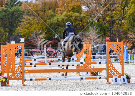 Setagaya Ward, Tokyo, Japan Breeding Show Jumping Horse Show at Equestrian Park 134042938