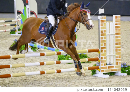 Setagaya Ward, Tokyo, Bajikoen Indoor Arena, Japan Breeding, Show Jumping, Horse Show 134042939