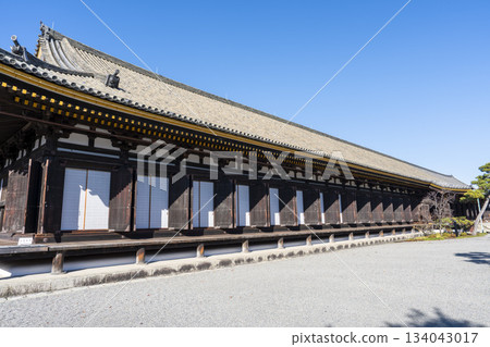 京都府京都市蓮華院(三十三間堂)正殿的深秋景色 京都府京都市蓮華院(三十三間堂)正殿的深秋景色 134043017