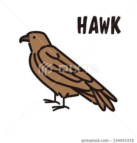 鷹圖示插圖 134043358
