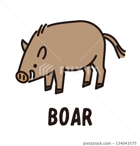 Boar icon illustration 134043575