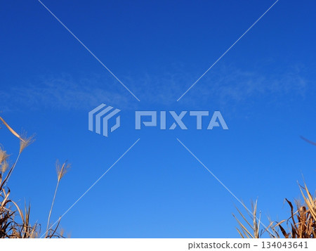 Clouds floating in the blue sky, blue sky, Susukino path, copy space, it feels like you're being sucked into the sky Clouds floating in the blue sky, blue sky, Susukino path, copy space, it feels like you're being sucked into the sky 134043641