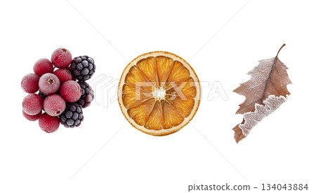 覆蓋霜雪的冬季果實和樹葉（透明背景） 134043884