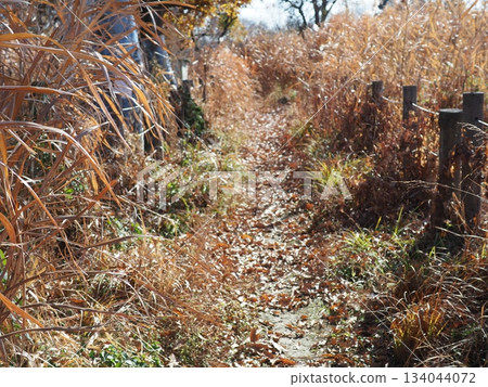 Endless Susukino Path Copy Space Feel the change of seasons Endless Susukino Path Copy Space Feel the change of seasons 134044072