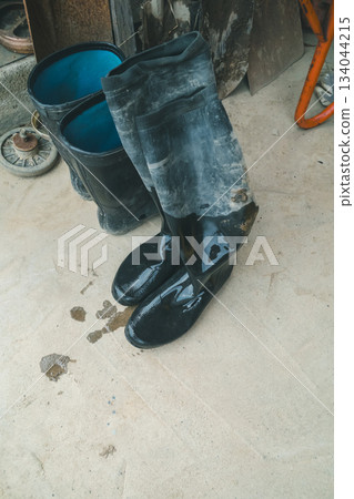 rubber boots, wellies, farming 134044215