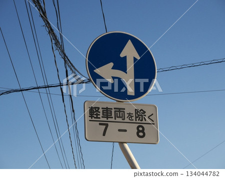 路標：禁止沿指定方向以外的任何方向行駛 134044782