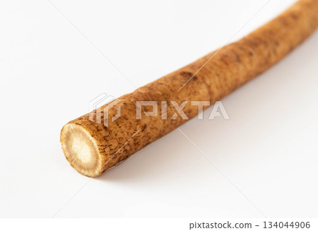 1 burdock root Cross section of burdock root 134044906